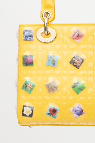 Dior Leather Lady Dior Art Bag