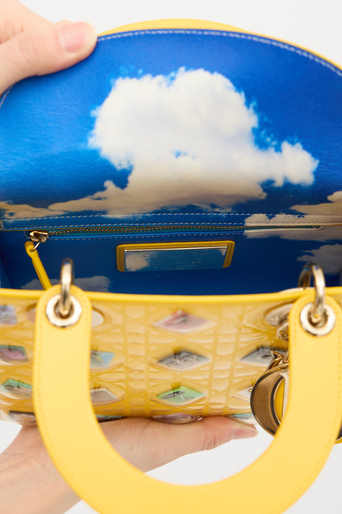 Dior Leather Lady Dior Art Bag