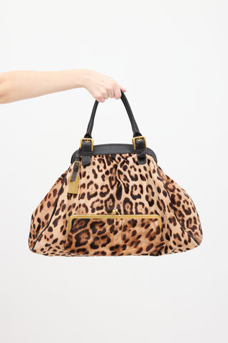 Dolce & Gabbana Brown & Beige Printed Hair Bag
