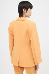 Ellery Wool Suit
