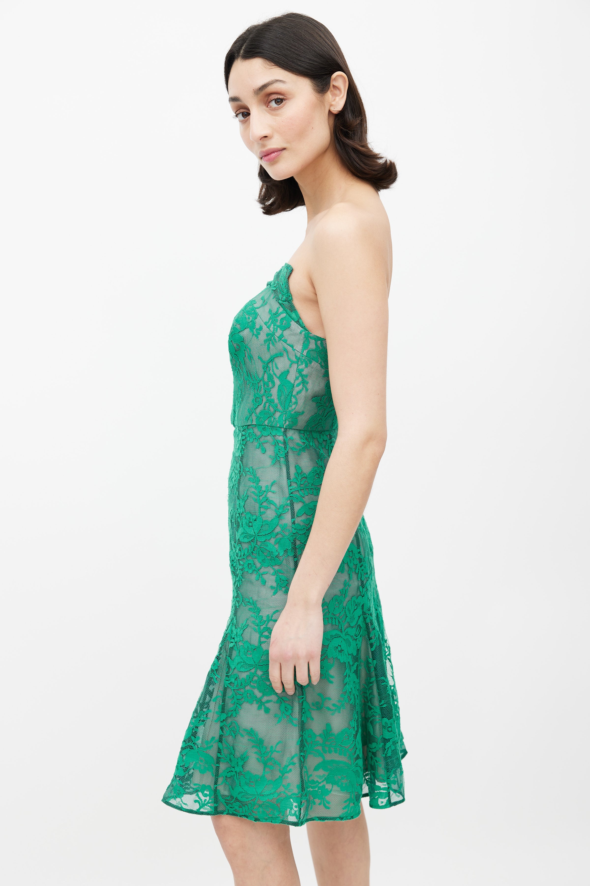 Erdem // Green Lace Mesh Strapless Dress VSP Consignment Erdem // Green Lace Mesh Strapless Dress VSP Consignment