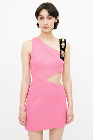 Fausto Puglisi FW 2015 Pink & Gold Embellished Cutout Dress
