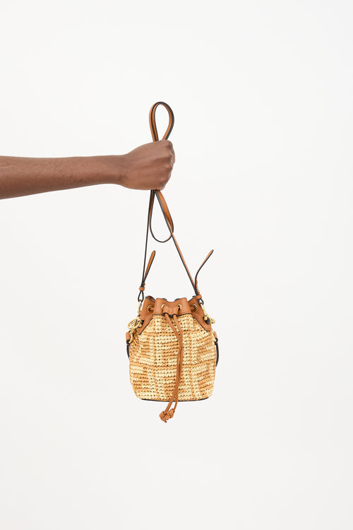 Fendi Raffia FF Mini Mon Tresor Bucket Bag