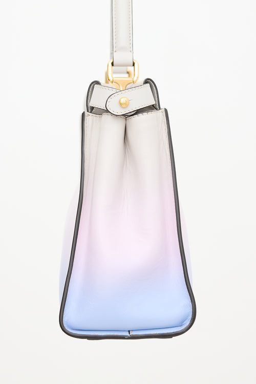 Fendi X Joshua Vides Leather Medium Peekaboo Iconic Bag
