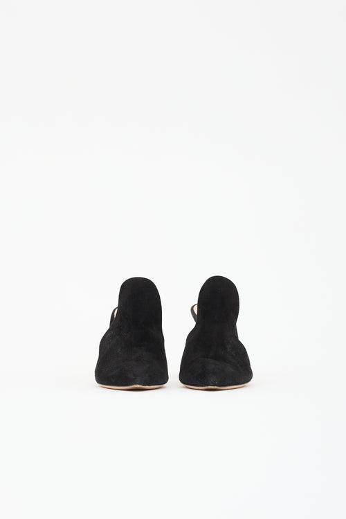 Gianvito Rossi Suede Aramis Mule