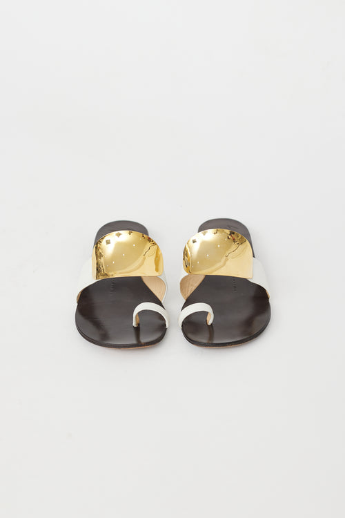 Giuseppe Zanotti Brown & Gold Plate Sandal