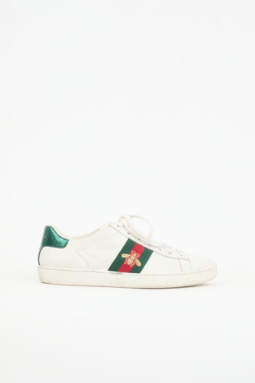 Gucci Leather Ace Sneaker