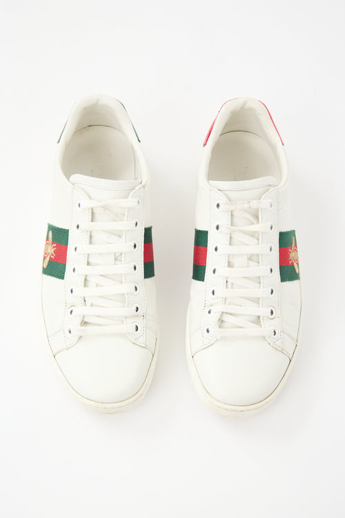 Gucci Leather Ace Sneaker