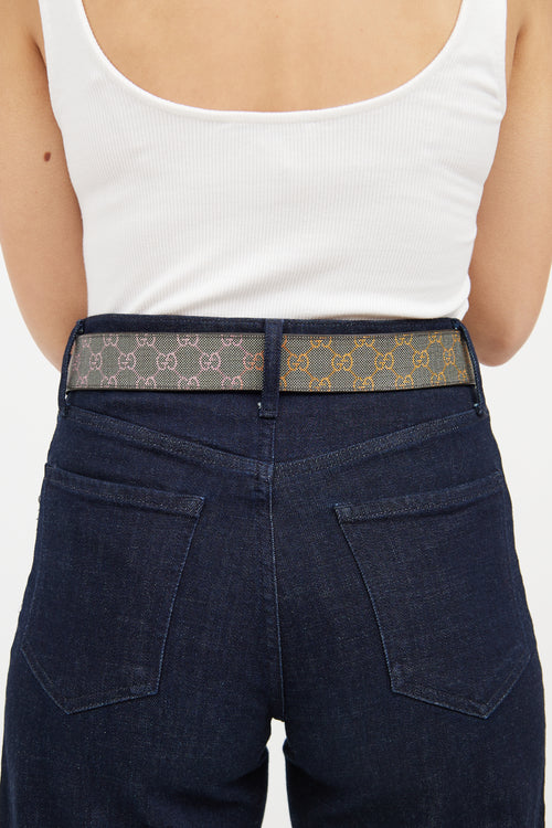 Gucci Beige & Multi Gradient Guccisma Belt