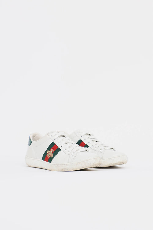 Gucci Ace Web Sneaker