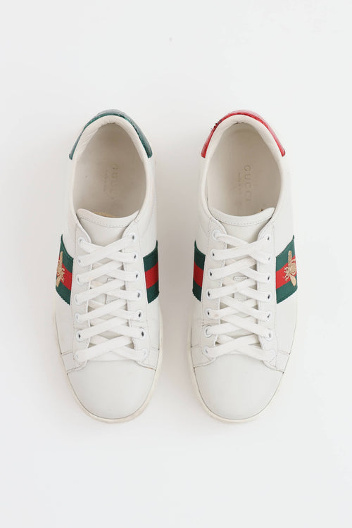 Gucci Ace Web Sneaker