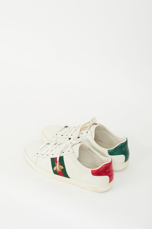 Gucci White & Multi Leather Ace Bee Sneaker