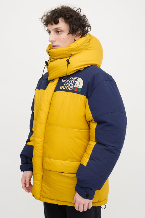 Gucci X The North Face Down & Nylon Jacket