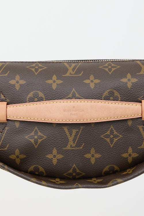Louis Vuitton 2020 Monogram Bumbag Bag