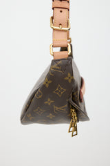 Louis Vuitton 2020 Monogram Bumbag Bag