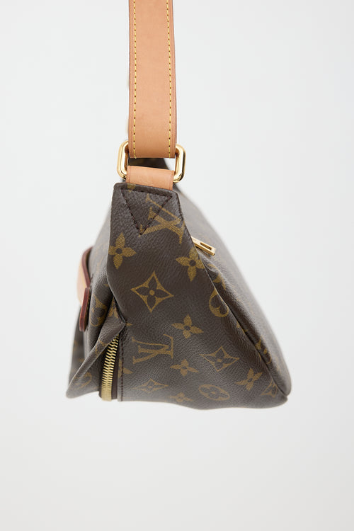 Louis Vuitton 2020 Monogram Bumbag Bag