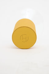 Hermès Jaune Ambre Delta Vase