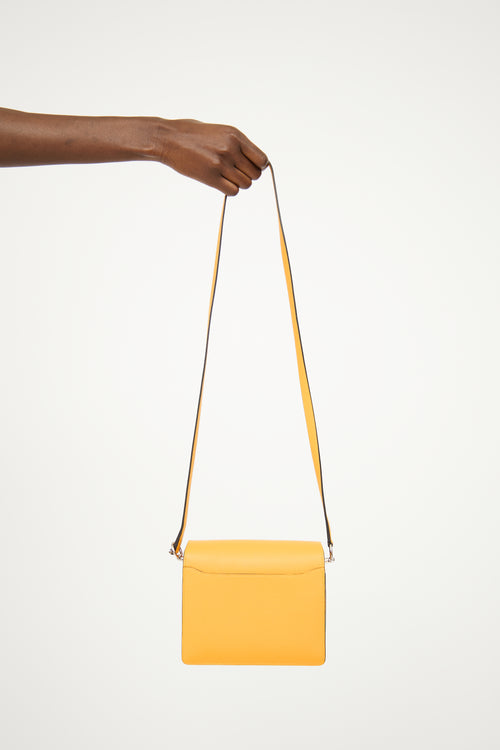 Hermès Jaune D'Or Mini Roulis  Bag