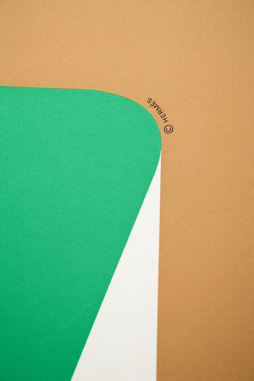 Hermès Silk La Serpentine de Pierre 90 Scarf