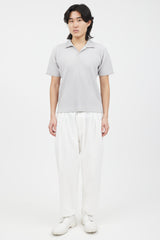 Homme Plissé Issey Miyake Grey Pleated Polo Shirt
