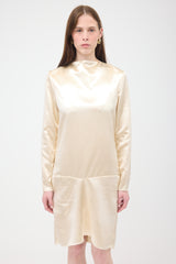 Celine Satin Raw Trim Shift Dress