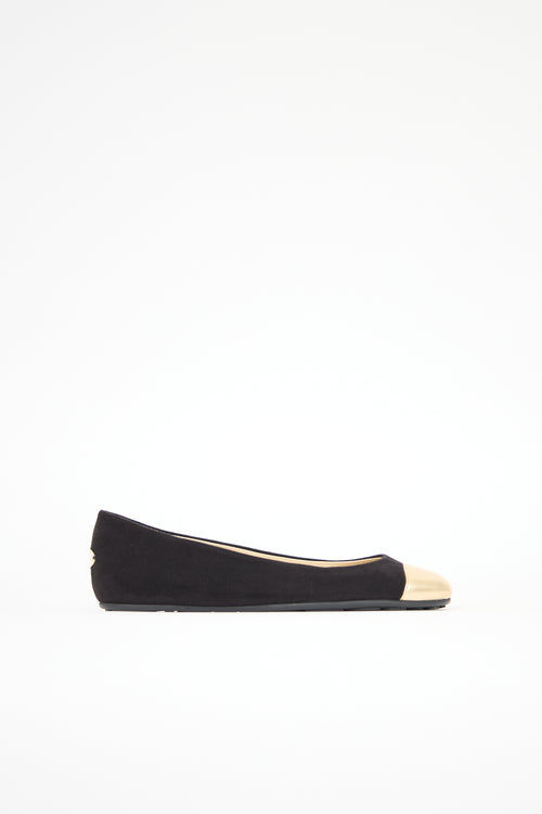 Jimmy Choo Suede Gaze Flat