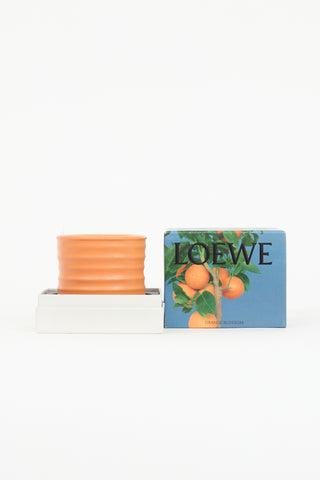 Loewe Small Orange Blossom Candle