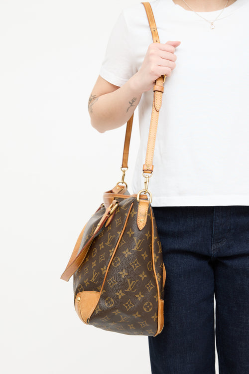 Louis Vuitton Monogram Estrela Bag