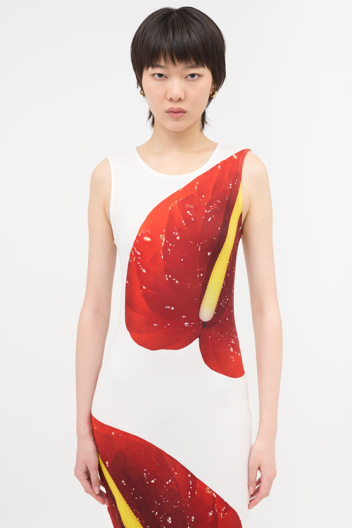 Loewe Anthurium Print Ribbed Dress