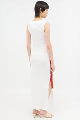 Loewe Anthurium Print Ribbed Dress