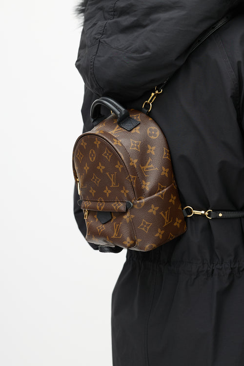 Louis Vuitton Brown & Black Palm Springs Monogram Mini Backpack