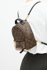 Louis Vuitton Brown & Black Palm Springs Monogram Mini Backpack