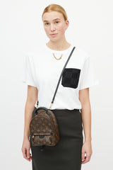 Louis Vuitton Brown & Black Palm Springs Monogram Mini Backpack