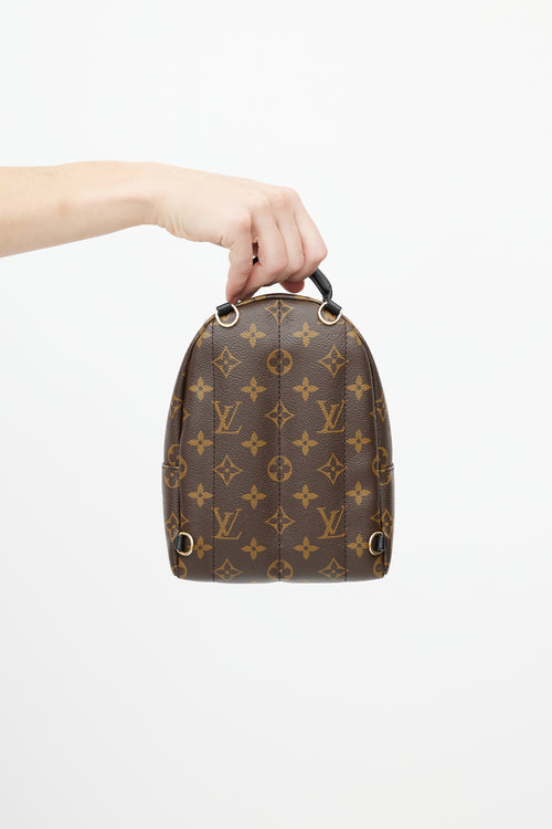 Louis Vuitton Brown & Black Palm Springs Monogram Mini Backpack