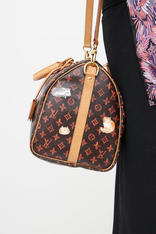 Louis Vuitton Brown Catogram Speedy Bandoliere Bag