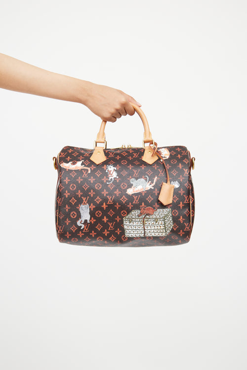 Louis Vuitton Brown Catogram Speedy Bandoliere Bag