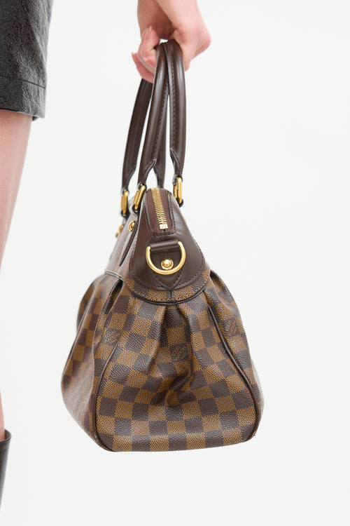 Louis Vuitton Brown Damier Ebene Trevi PM Bag