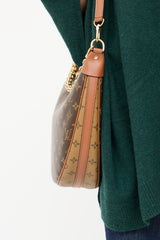 Louis Vuitton Monogram Loop Bag