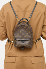 Louis Vuitton 2021 Palm Springs Monogram Mini 
 Backpack