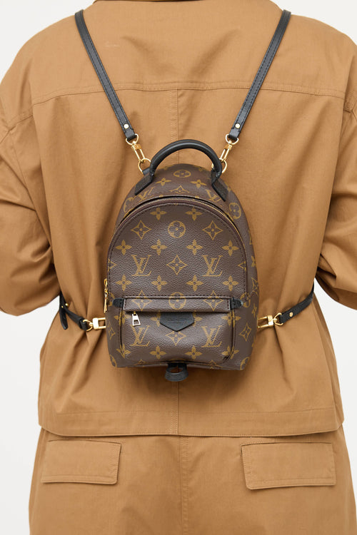 Louis Vuitton 2021 Palm Springs Monogram Mini 
 Backpack