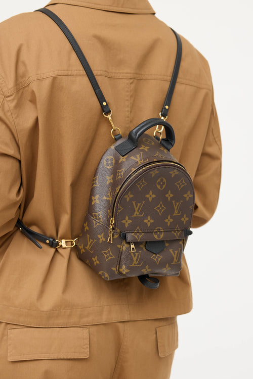Louis Vuitton 2021 Palm Springs Monogram Mini 
 Backpack