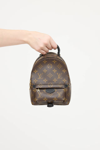 Louis Vuitton 2021 Palm Springs Monogram Mini 
 Backpack
