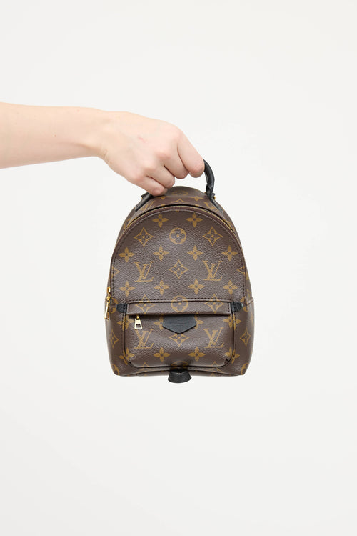 Louis Vuitton 2021 Palm Springs Monogram Mini 
 Backpack