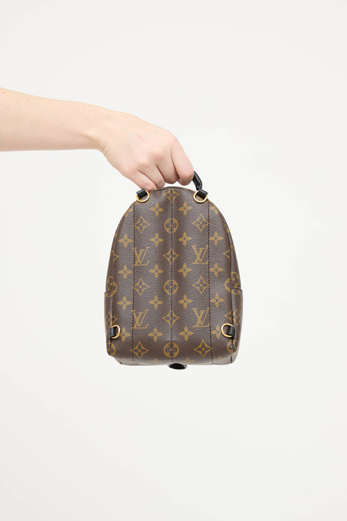Louis Vuitton 2021 Palm Springs Monogram Mini 
 Backpack