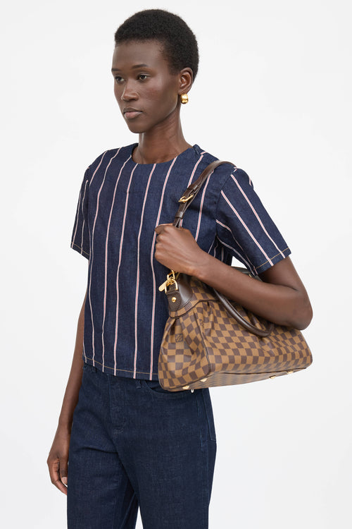 Louis Vuitton Damier Ebene Trevi PM Bag