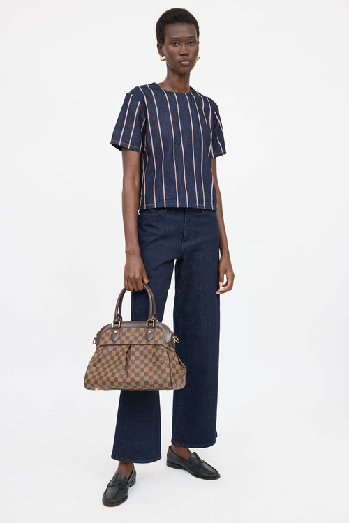 Louis Vuitton Damier Ebene Trevi PM Bag