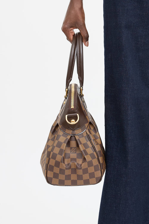 Louis Vuitton Damier Ebene Trevi PM Bag