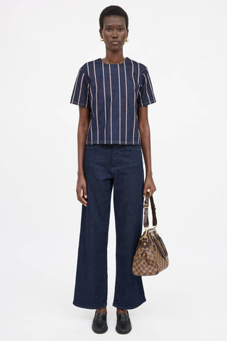 Louis Vuitton Damier Ebene Trevi PM Bag