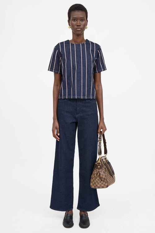 Louis Vuitton Damier Ebene Trevi PM Bag