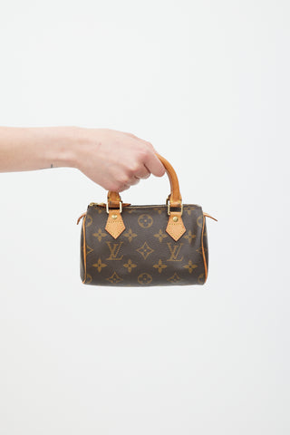 Louis Vuitton Brown Nano Speedy Monogram Bag